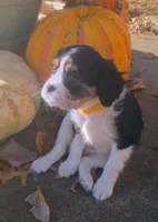 processed/b818b0a9-0db3-43d5-8b6a-7b9baa282590/listing/9ea5e401-b70b-4602-9276-7c10bf11831d/15fafe8d-46e7-46c3-966a-e52509725f20