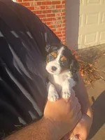 processed/b818b0a9-0db3-43d5-8b6a-7b9baa282590/listing/9ea5e401-b70b-4602-9276-7c10bf11831d/4728ad11-0307-4e4e-899b-a27d503695d7