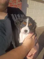 processed/b818b0a9-0db3-43d5-8b6a-7b9baa282590/listing/9ea5e401-b70b-4602-9276-7c10bf11831d/72884a15-3572-49d6-9305-bbaf58cd402c