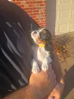 processed/b818b0a9-0db3-43d5-8b6a-7b9baa282590/listing/9ea5e401-b70b-4602-9276-7c10bf11831d/a5421f65-1064-4ff4-8b96-3569b133be27