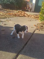 processed/b818b0a9-0db3-43d5-8b6a-7b9baa282590/listing/9ea5e401-b70b-4602-9276-7c10bf11831d/e1c356dd-3cb3-49fa-b519-5bd1bf79ce15