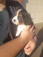 processed/b818b0a9-0db3-43d5-8b6a-7b9baa282590/listing/9ea5e401-b70b-4602-9276-7c10bf11831d/e8cd415f-fec4-4f1e-b65d-b25e345b04aa