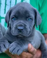 processed/b8224c85-adf2-4db6-a8a2-f5b0a7cecb9f/listing/11d79d23-7377-4603-9a61-c9403f46e685/25591e0b-d620-4b2d-926b-8a8b128dd3f5