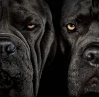 processed/b8224c85-adf2-4db6-a8a2-f5b0a7cecb9f/listing/11d79d23-7377-4603-9a61-c9403f46e685/75a86f0f-a6c4-4c17-aeb1-a5c57837446e