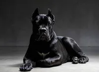 processed/b8224c85-adf2-4db6-a8a2-f5b0a7cecb9f/listing/11d79d23-7377-4603-9a61-c9403f46e685/b44a199a-c88c-40b2-92ef-616e7a23b8a2