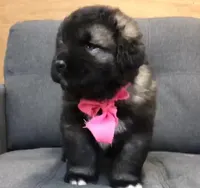 processed/b8224c85-adf2-4db6-a8a2-f5b0a7cecb9f/listing/9a662c20-9bcb-4266-937b-326d19d9c993/dd8fe026-4756-4de6-bfd9-01cc2f5e5d3f