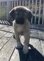 processed/b8224c85-adf2-4db6-a8a2-f5b0a7cecb9f/listing/d57ecc77-7cf4-4c59-909f-dedb82b03636/4b65b38c-0eac-4375-983f-7e4e49ff00b8