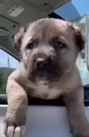 processed/b8224c85-adf2-4db6-a8a2-f5b0a7cecb9f/listing/e5966762-0355-4b71-bdc7-8f07153aee2d/1c2e4ec2-e9c3-4020-992d-77907458ffcc