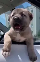 processed/b8224c85-adf2-4db6-a8a2-f5b0a7cecb9f/listing/e5966762-0355-4b71-bdc7-8f07153aee2d/1e5a5dcc-656b-4044-84b4-1007aa672822