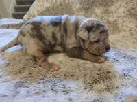 processed/b82396cd-ef68-4b32-b089-bba97f3800cf/listing/e640b23c-d8fa-40f6-9c82-c67dd7e8ab46/389be242-2481-4b66-bff9-5c47e2e5de05