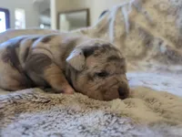 processed/b82396cd-ef68-4b32-b089-bba97f3800cf/listing/e640b23c-d8fa-40f6-9c82-c67dd7e8ab46/4625586a-2635-41ed-b81f-879bd2cb06aa