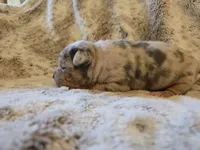 processed/b82396cd-ef68-4b32-b089-bba97f3800cf/listing/e640b23c-d8fa-40f6-9c82-c67dd7e8ab46/5f5eabef-7581-4c3f-b09c-bf66287b12df