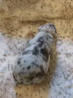 processed/b82396cd-ef68-4b32-b089-bba97f3800cf/listing/e640b23c-d8fa-40f6-9c82-c67dd7e8ab46/65f99dbc-969a-43de-aabf-97acebe0e0ca