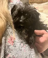 processed/b828125e-a76f-4ec0-b1fc-8a2ecea9aa4d/listing/097115a5-10ad-4425-a369-8eb3ec57b15f/327d48a6-ac9c-4272-b9ca-24cd16657615