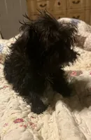 processed/b828125e-a76f-4ec0-b1fc-8a2ecea9aa4d/listing/097115a5-10ad-4425-a369-8eb3ec57b15f/ea30ecaf-952e-4728-b1be-cacdec3f44b6