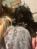 processed/b828125e-a76f-4ec0-b1fc-8a2ecea9aa4d/listing/2dabb080-a193-4bd5-b4a8-d250b1937d99/50b98dad-ed88-497b-abb6-9184533f0eb1