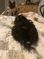 processed/b828125e-a76f-4ec0-b1fc-8a2ecea9aa4d/listing/2dabb080-a193-4bd5-b4a8-d250b1937d99/bbccc365-3913-40d4-a43d-244e6b52700a