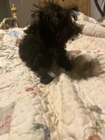 processed/b828125e-a76f-4ec0-b1fc-8a2ecea9aa4d/listing/2dabb080-a193-4bd5-b4a8-d250b1937d99/ca31e740-fdf8-4c5f-90dc-a91c9ce8589e