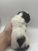 processed/b82eab65-2047-48a4-a984-0437a7a0a454/listing/28c503bd-91e8-47b9-8ac0-7d4ed95c7270/05a43025-18bc-4af3-bfc1-c8f82d49b587