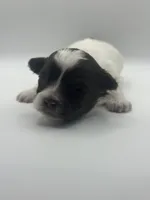 processed/b82eab65-2047-48a4-a984-0437a7a0a454/listing/28c503bd-91e8-47b9-8ac0-7d4ed95c7270/6e165513-49d5-46ff-886d-d93e9ced428f