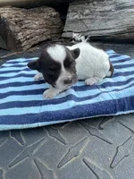 processed/b82eab65-2047-48a4-a984-0437a7a0a454/listing/28c503bd-91e8-47b9-8ac0-7d4ed95c7270/81f04ea1-05f2-4696-8a3a-ca0b7afb3c8d