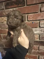 processed/b82eab65-2047-48a4-a984-0437a7a0a454/listing/651c0d2e-48a7-4599-8bdc-a37b9205aefe/2961dddd-a164-4730-9ecf-a763bb52ba14