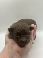 processed/b82eab65-2047-48a4-a984-0437a7a0a454/listing/651c0d2e-48a7-4599-8bdc-a37b9205aefe/29f04c84-7e2a-43c8-a367-ac5aba7a597f