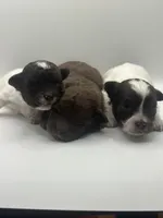 processed/b82eab65-2047-48a4-a984-0437a7a0a454/listing/651c0d2e-48a7-4599-8bdc-a37b9205aefe/d678eda9-7fbb-4f03-91d6-9465540e83d0