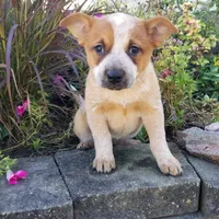 processed/b837cddb-3324-4e6a-a3af-7973d1749e7e/facility/104bfe64-ad76-4e2e-a84b-c279a5449ef8