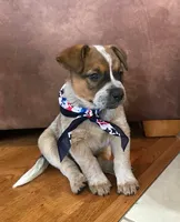 processed/b837cddb-3324-4e6a-a3af-7973d1749e7e/facility/4097fbce-a9a8-41ee-a64f-28253e14ba79