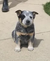 processed/b837cddb-3324-4e6a-a3af-7973d1749e7e/facility/43b7d4d8-617e-43d4-bc8d-d89107ff567e