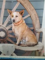 processed/b837cddb-3324-4e6a-a3af-7973d1749e7e/facility/4c91e0ef-8f6f-4543-a5e6-07ecc4caa564