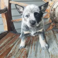 processed/b837cddb-3324-4e6a-a3af-7973d1749e7e/facility/4fc7d923-6c2f-4d37-9d55-5e2d5ec43a68