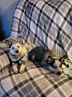 processed/b837cddb-3324-4e6a-a3af-7973d1749e7e/facility/8cb504bf-cdb1-4ba6-824d-c9b57467404c