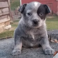 processed/b837cddb-3324-4e6a-a3af-7973d1749e7e/facility/95fac953-ddb1-4767-a430-3a74f6d53968