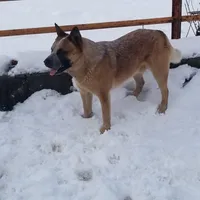 processed/b837cddb-3324-4e6a-a3af-7973d1749e7e/facility/a9496bc3-990b-4ff2-af5b-36ede7d717d0