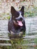 processed/b837cddb-3324-4e6a-a3af-7973d1749e7e/facility/e91e344f-5b6d-43a5-9505-d298dccb5415