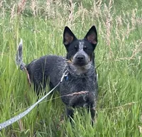 processed/b837cddb-3324-4e6a-a3af-7973d1749e7e/facility/f5e2b90a-a3ef-454e-8278-5b288de3b30b