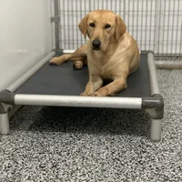 processed/b83ab386-b80c-49c0-86b0-5f05724adea0/facility/8c9e4caf-7853-4f7e-890c-d4a05469dd58