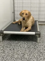 processed/b83ab386-b80c-49c0-86b0-5f05724adea0/facility/8c9e4caf-7853-4f7e-890c-d4a05469dd58