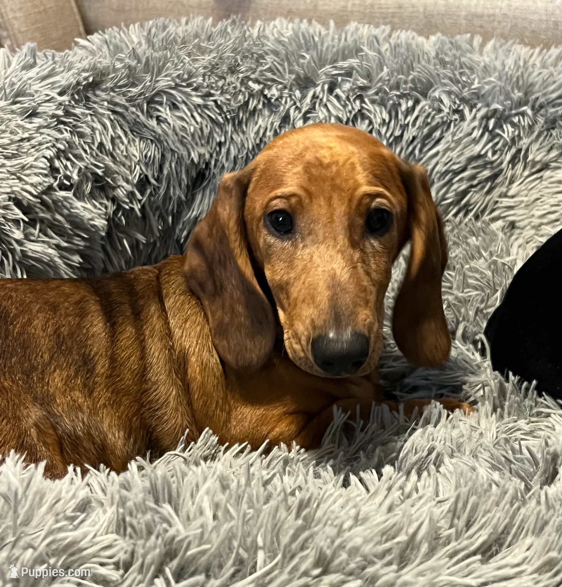 processed/b83ab386-b80c-49c0-86b0-5f05724adea0/listing/616ca47f-b558-477c-a287-23dddb8d924e/a7136650-2198-48d6-aaf8-958180b0fdb6