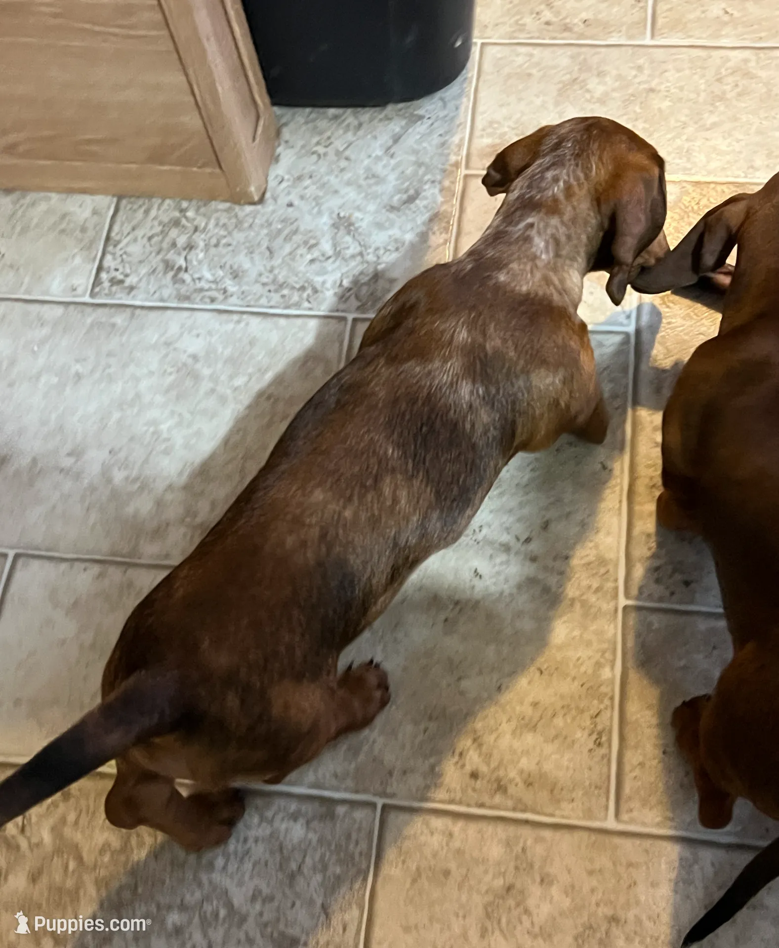 processed/b83ab386-b80c-49c0-86b0-5f05724adea0/listing/616ca47f-b558-477c-a287-23dddb8d924e/b97b3d48-4691-4af2-8b27-2823e2599ee4