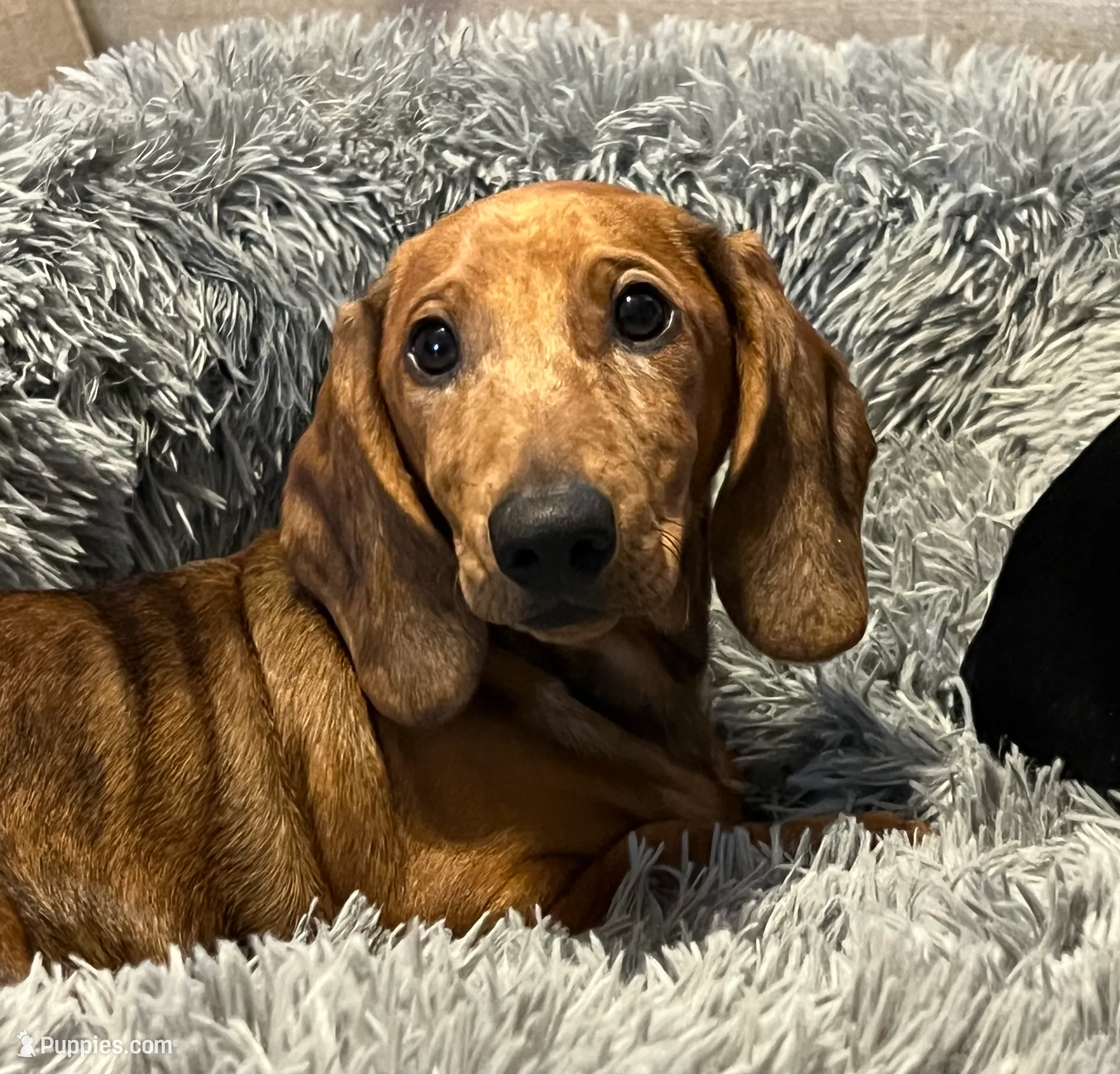 processed/b83ab386-b80c-49c0-86b0-5f05724adea0/listing/616ca47f-b558-477c-a287-23dddb8d924e/fb84dfa1-ff4e-4c6c-ae5a-f469f452dc57