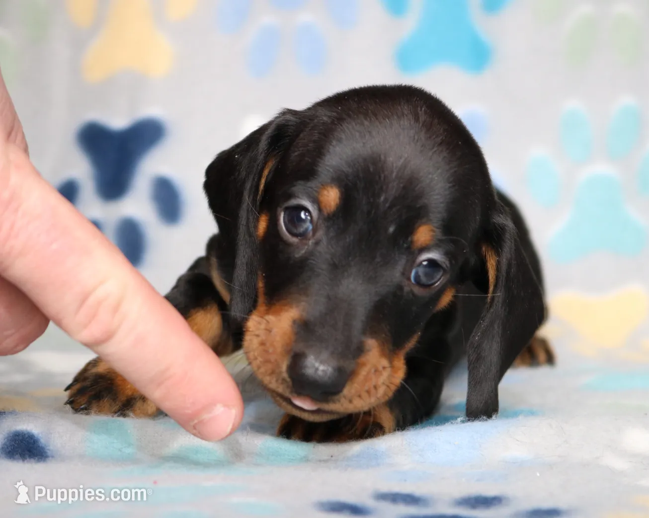 processed/b83ab386-b80c-49c0-86b0-5f05724adea0/listing/8da6f7cf-f641-4eb0-bc61-0f84e968455f/2730c230-3eb6-4007-9baf-d4733eceab5c