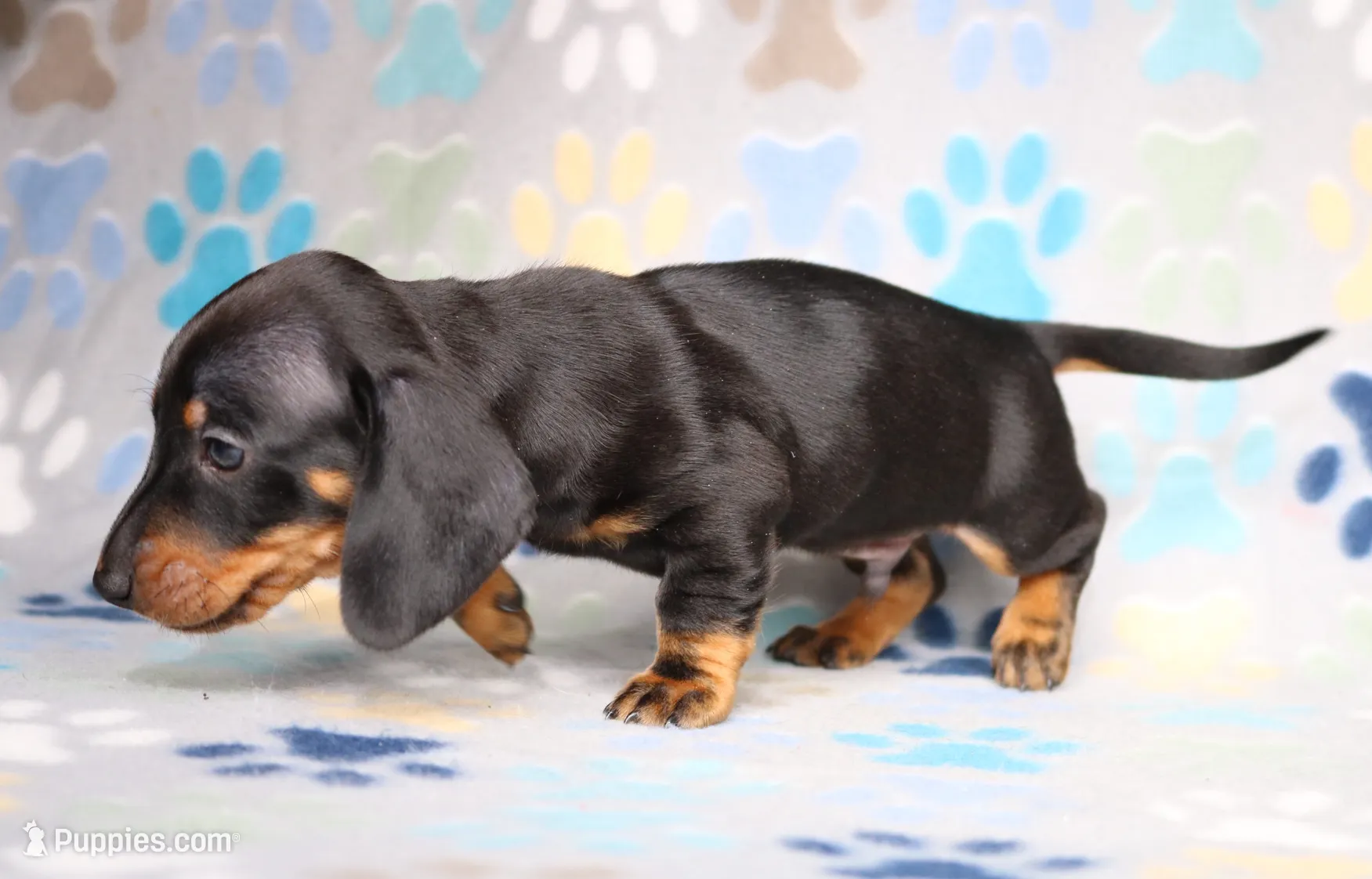 processed/b83ab386-b80c-49c0-86b0-5f05724adea0/listing/8da6f7cf-f641-4eb0-bc61-0f84e968455f/83112632-6d2c-4494-b827-882e2f4de536