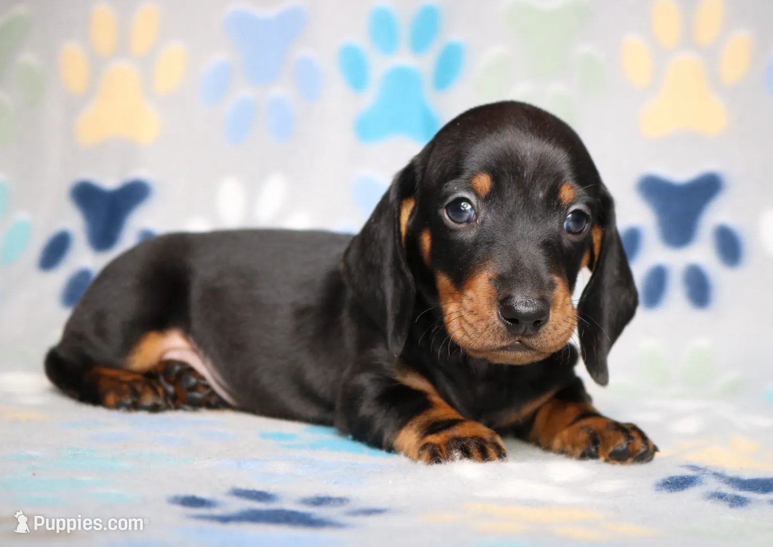 processed/b83ab386-b80c-49c0-86b0-5f05724adea0/listing/8da6f7cf-f641-4eb0-bc61-0f84e968455f/f53626f7-a522-4863-a849-e6ce6804a171