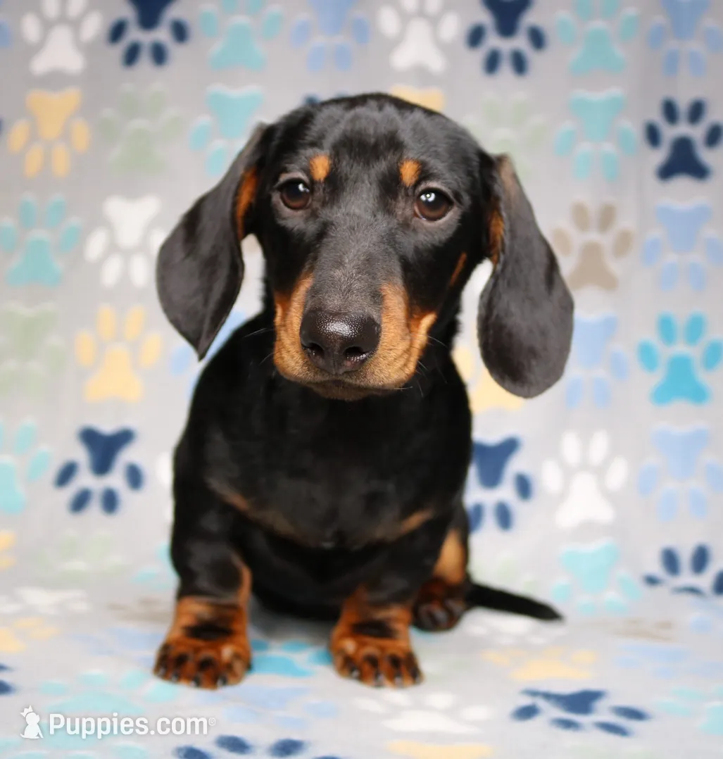 processed/b83ab386-b80c-49c0-86b0-5f05724adea0/listing/d13559a5-8a31-4b44-b92e-7c55e2221355/191bfb04-0fb2-4544-a62c-4fcab80ef922