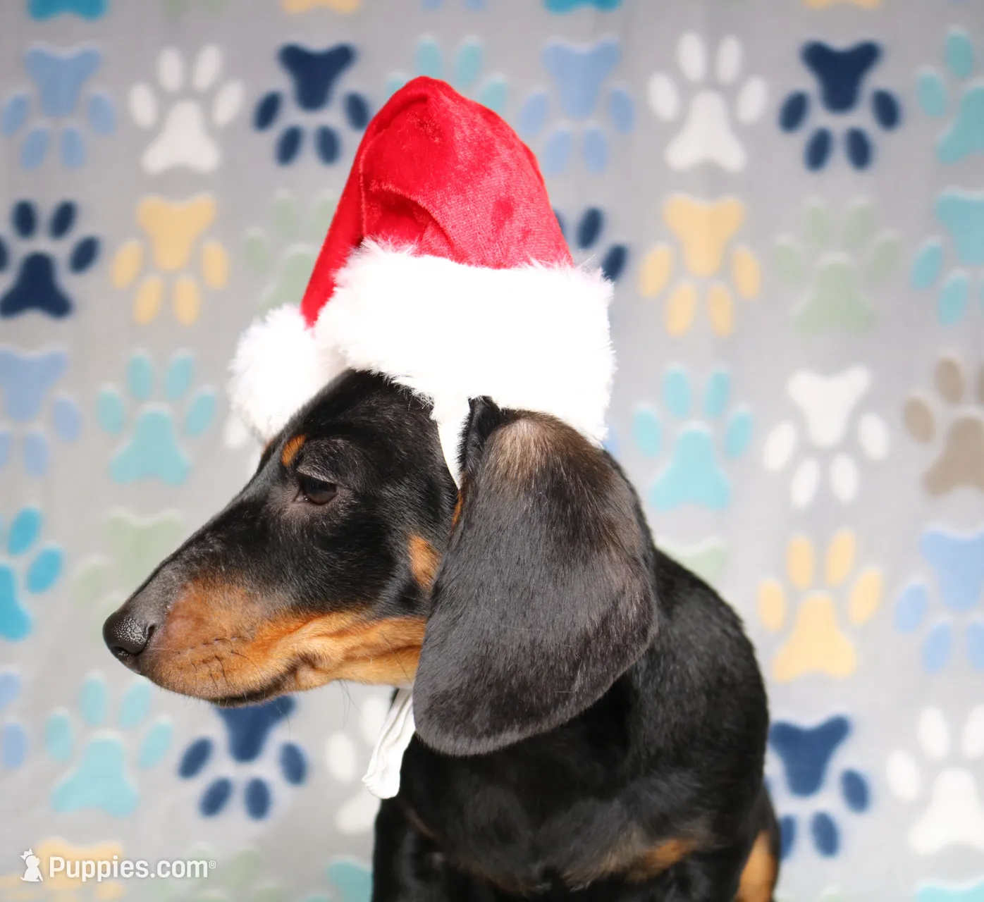 processed/b83ab386-b80c-49c0-86b0-5f05724adea0/listing/d13559a5-8a31-4b44-b92e-7c55e2221355/1b42b60e-8d35-4767-ba74-34b4e8fe4c05