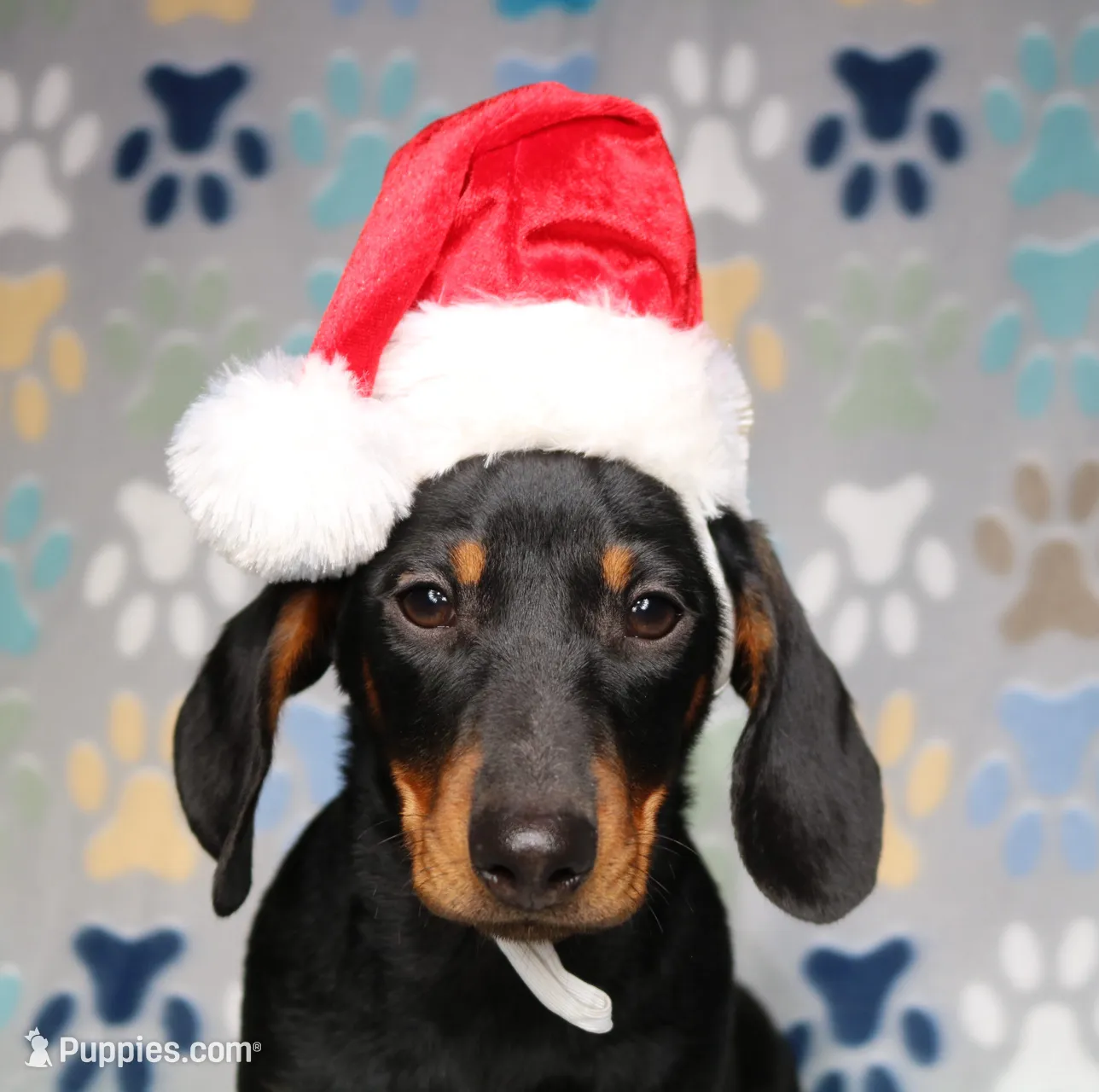 processed/b83ab386-b80c-49c0-86b0-5f05724adea0/listing/d13559a5-8a31-4b44-b92e-7c55e2221355/72d3637e-65ca-4b77-aa3a-ad7659f89a78