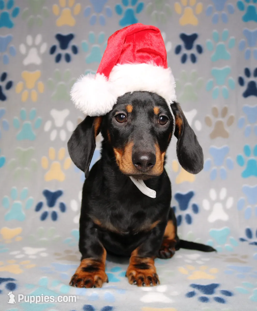 processed/b83ab386-b80c-49c0-86b0-5f05724adea0/listing/d13559a5-8a31-4b44-b92e-7c55e2221355/7bfb926c-6918-4e94-98ba-a02ea0e07a6a